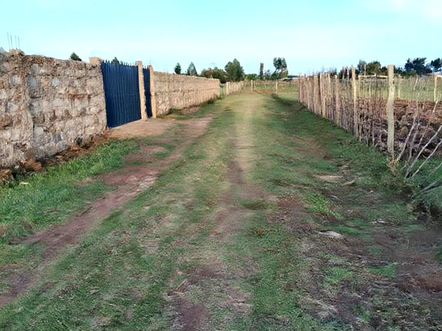 Plot for Sale in Ilula , Eldoret
