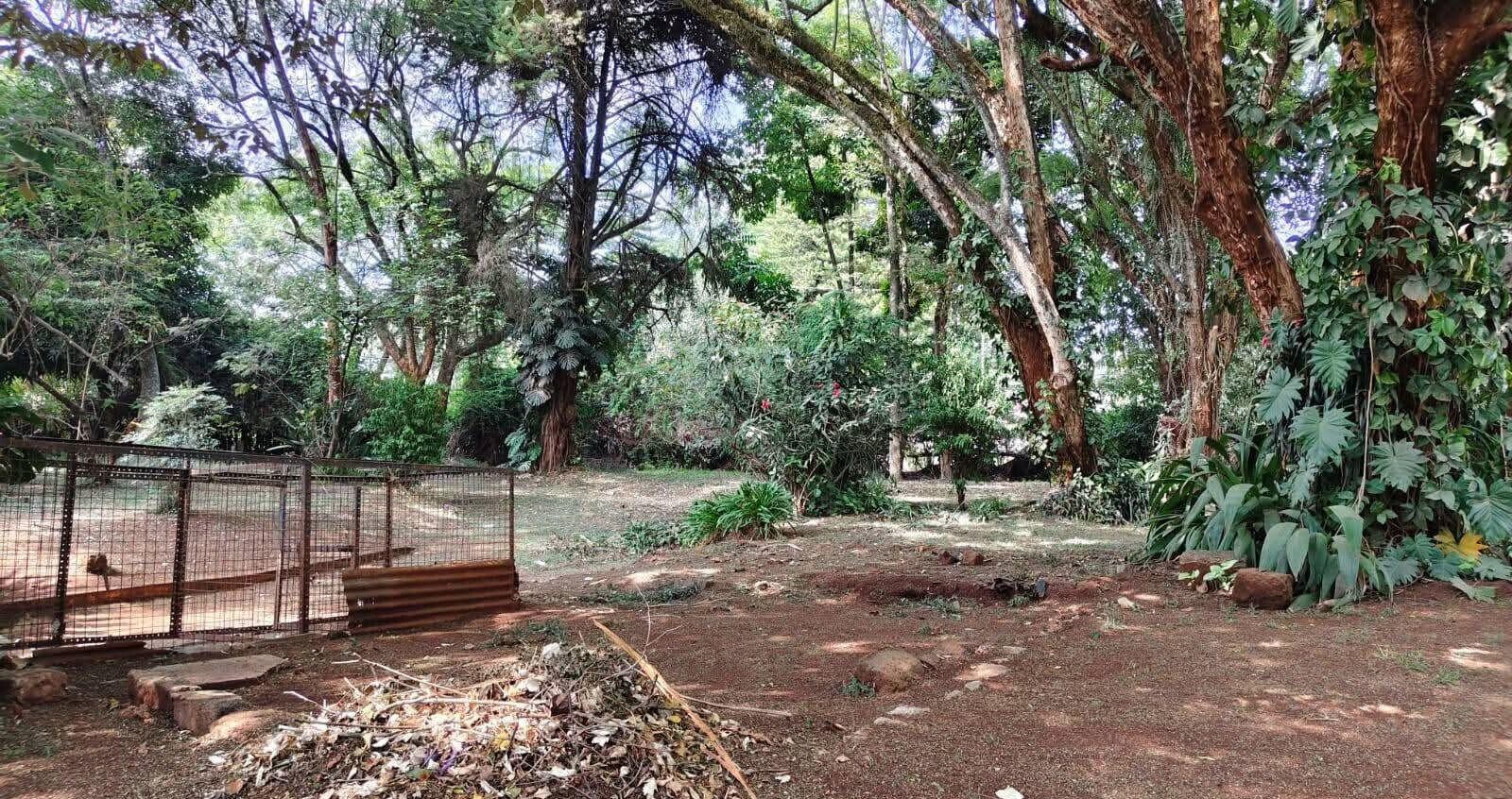 1 Acre Bungalow at KSh 300K