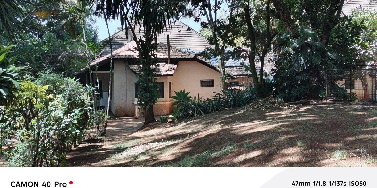 1 Acre Bungalow at KSh 300K