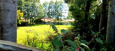 1/4 Plot Kimumu With Title Ideal for Rental. - Image 1