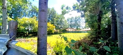 1/4 Plot Kimumu With Title Ideal for Rental. - Image 2