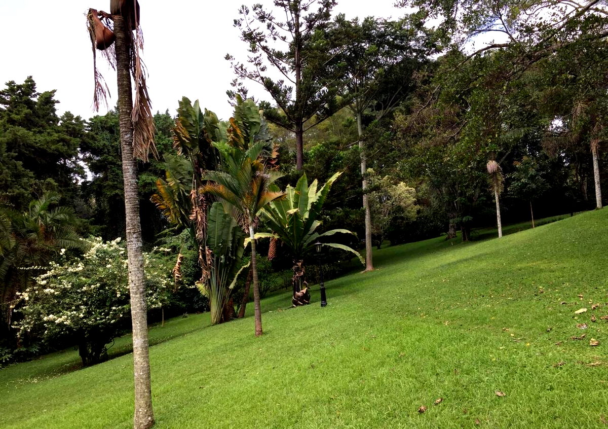 Half Acre Garden Plot with Parking at KSh 70M