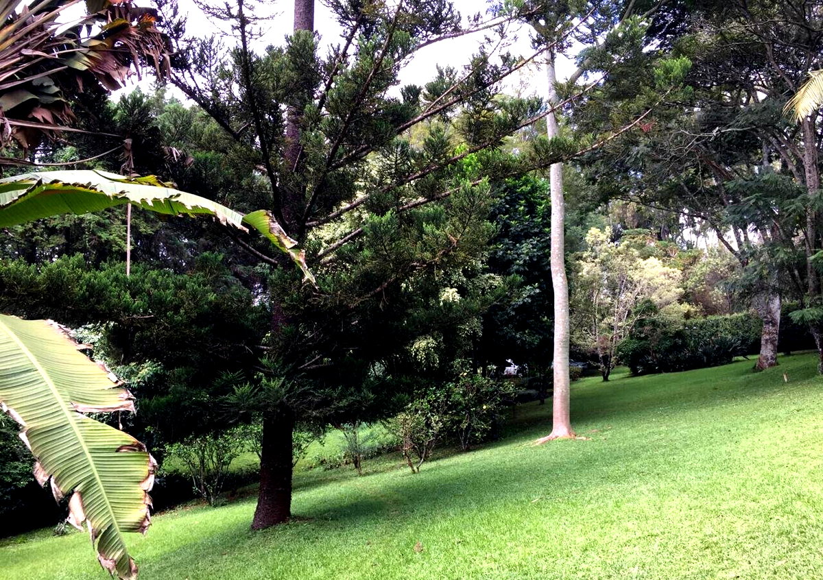 Half Acre Garden Plot with Parking at KSh 70M