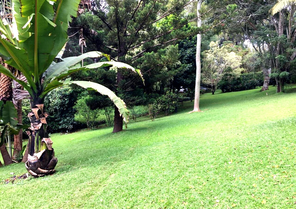 Half Acre Garden Plot with Parking at KSh 70M