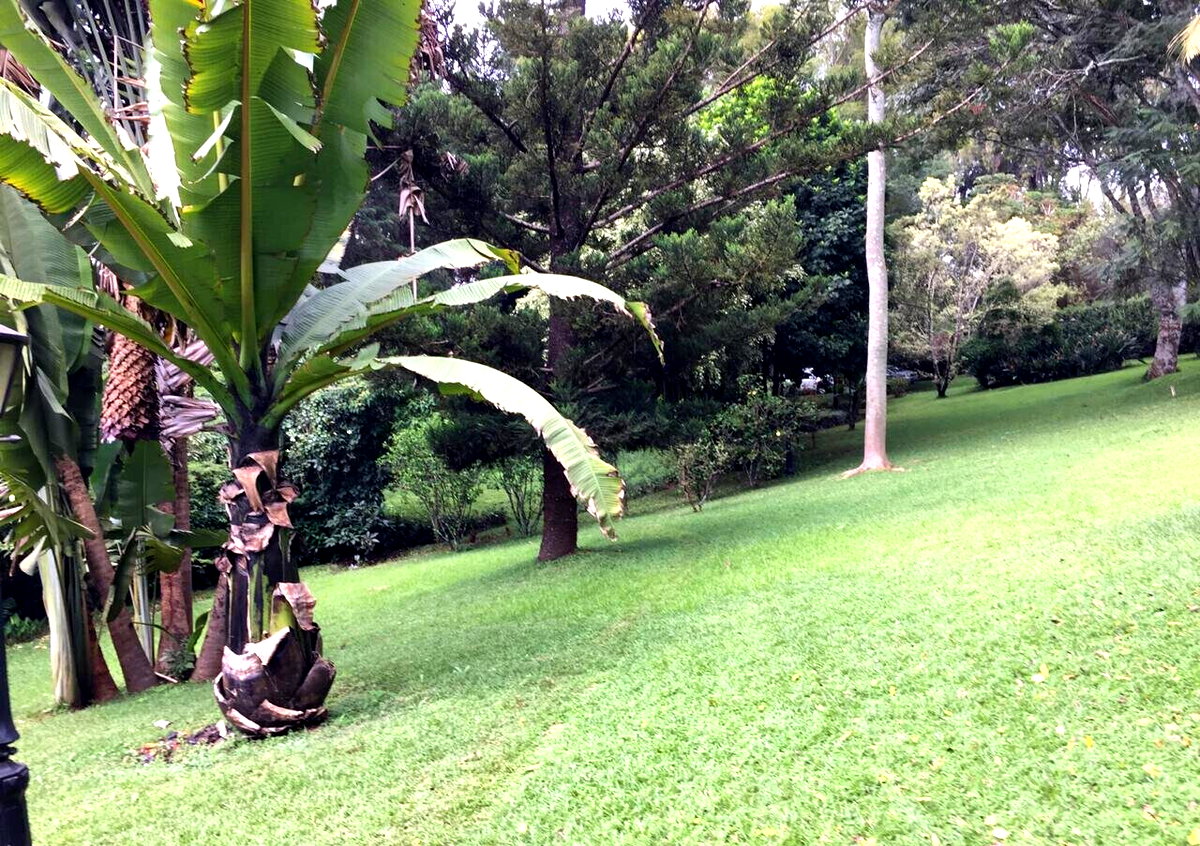 Half Acre Garden Plot with Parking at KSh 70M