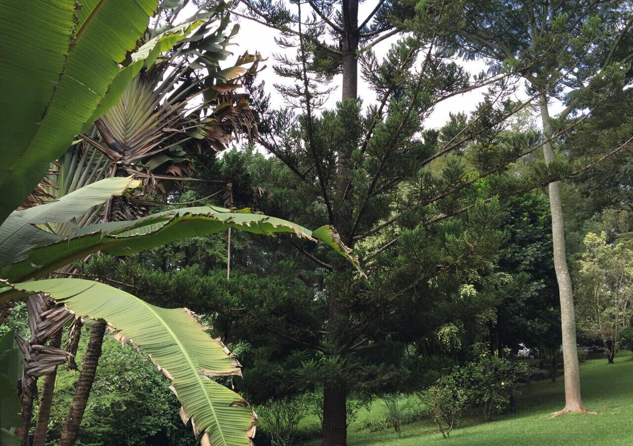 Half Acre Garden Plot with Parking at KSh 70M