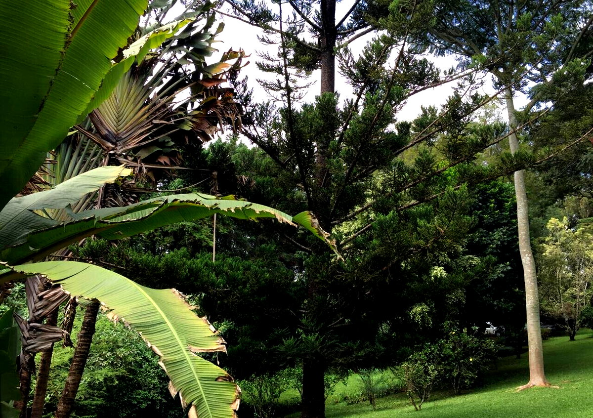 Half Acre Garden Plot with Parking at KSh 70M