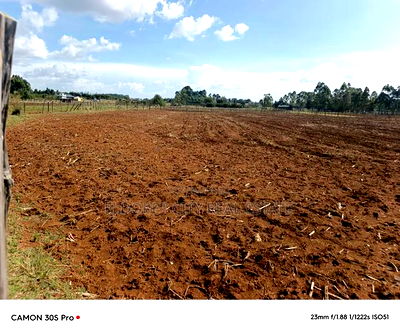 1/2 Acre Kiplombe Touching Tarmac With Title - Image 2