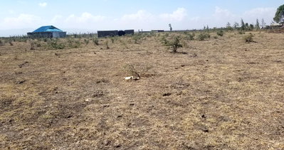 Garden Plot Near Tuala Town