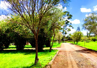 5-Acre Commercial Property with Garden - Langata