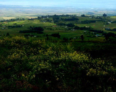 1/2acre on Sale at View Point Naivasha - Image 1