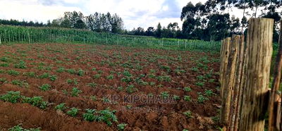 1/4 Plot For Sale In Royalton Annex In Eldoret - Image 7