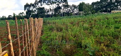 1/4 Plot For Sale In Royalton Annex In Eldoret - Image 3