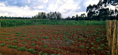 1/4 Plot For Sale In Royalton Annex In Eldoret - Image 1