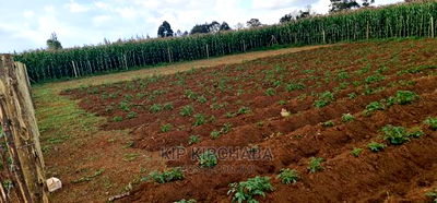 1/4 Plot For Sale In Royalton Annex In Eldoret - Image 2