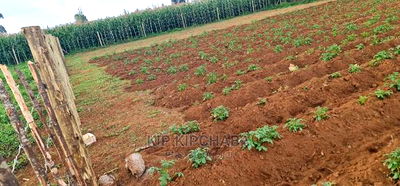 1/4 Plot For Sale In Royalton Annex In Eldoret - Image 4