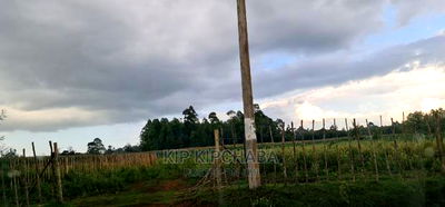 1/4 Plot For Sale In Royalton Annex In Eldoret - Image 9