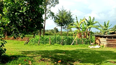 4.5 Acres for Sale in Muting'ong'o Kakamega - Image 1