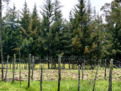 3 Prime 50 by 100 Plots for Sale - Image 4