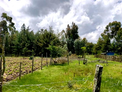 3 Prime 50 by 100 Plots for Sale - Image 2