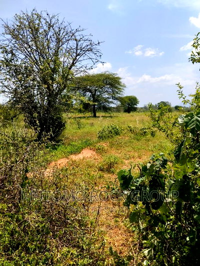 75acres for Sale - Image 5