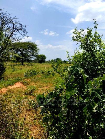 75acres for Sale - Image 4