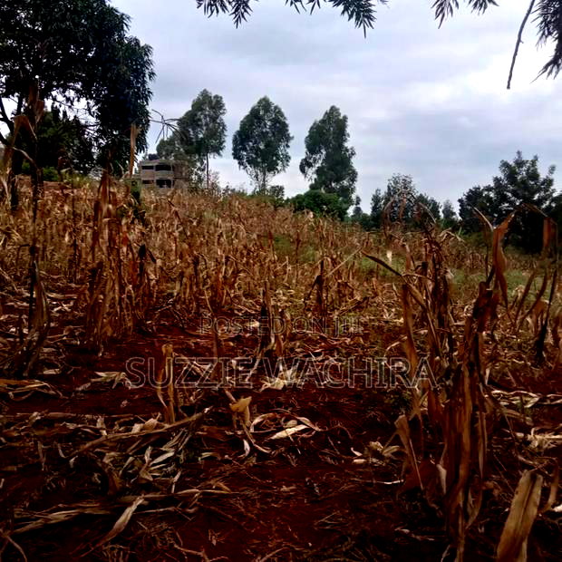 Affordable 40x80ft at Zabka Kabati for Sale