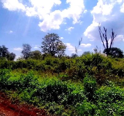 Half Acre in Karen at KSh 42M