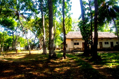 4.5 Acres Beach Front Plot Diani - Image 12