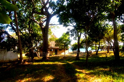 4.5 Acres Beach Front Plot Diani - Image 13