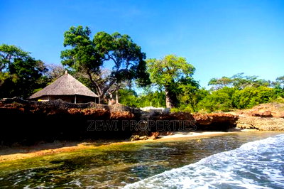 4.5 Acres Beach Front Plot Diani - Image 5