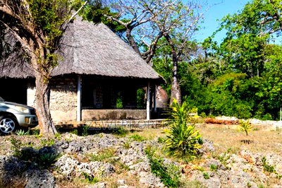 4.5 Acres Beach Front Plot Diani - Image 15