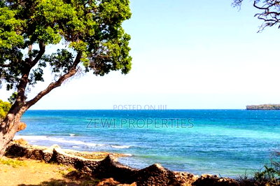 4.5 Acres Beach Front Plot Diani - Image 2