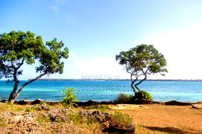 4.5 Acres Beach Front Plot Diani - Image 9