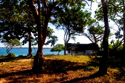 4.5 Acres Beach Front Plot Diani - Image 10