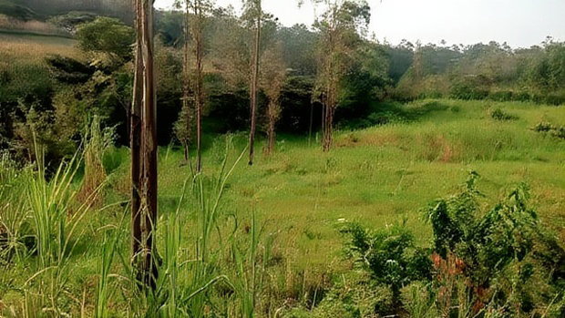 Land for Sale in Kakamega-Shibuli