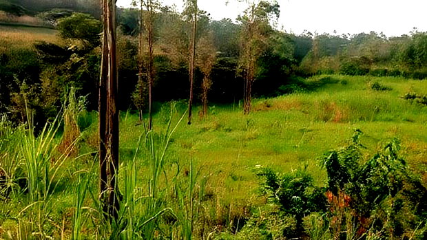 Land for Sale in Kakamega-Shibuli