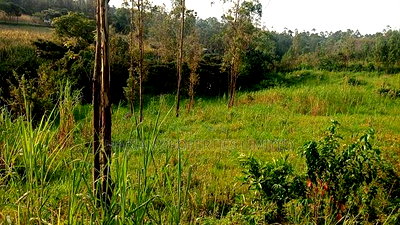 Land for Sale in Kakamega-Shibuli - Image 3