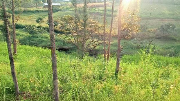 Land for Sale in Kakamega-Shibuli
