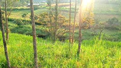Land for Sale in Kakamega-Shibuli - Image 5