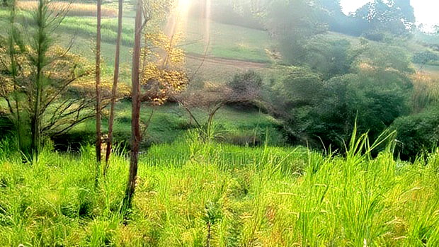 Land for Sale in Kakamega-Shibuli