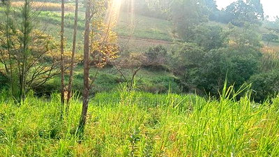 Land for Sale in Kakamega-Shibuli - Image 4