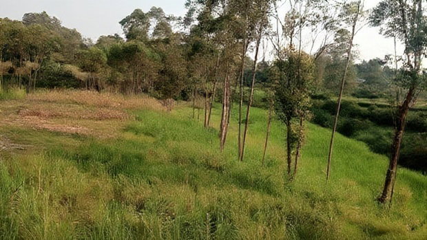 Land for Sale in Kakamega-Shibuli