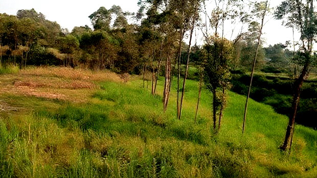 Land for Sale in Kakamega-Shibuli