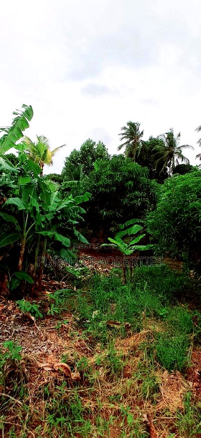 For Sale 9.5 Acre Agricultural Land Vipingo - Image 4