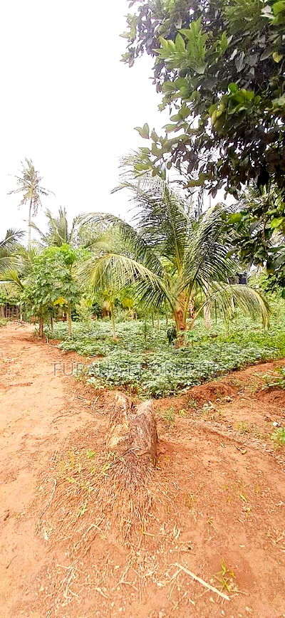 For Sale 9.5 Acre Agricultural Land Vipingo - Image 6