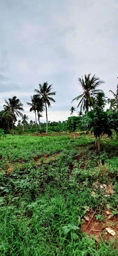 For Sale 9.5 Acre Agricultural Land Vipingo - Image 5