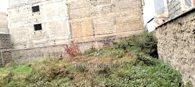 Tassia Plots - Image 6