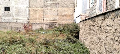 Tassia Plots - Image 5