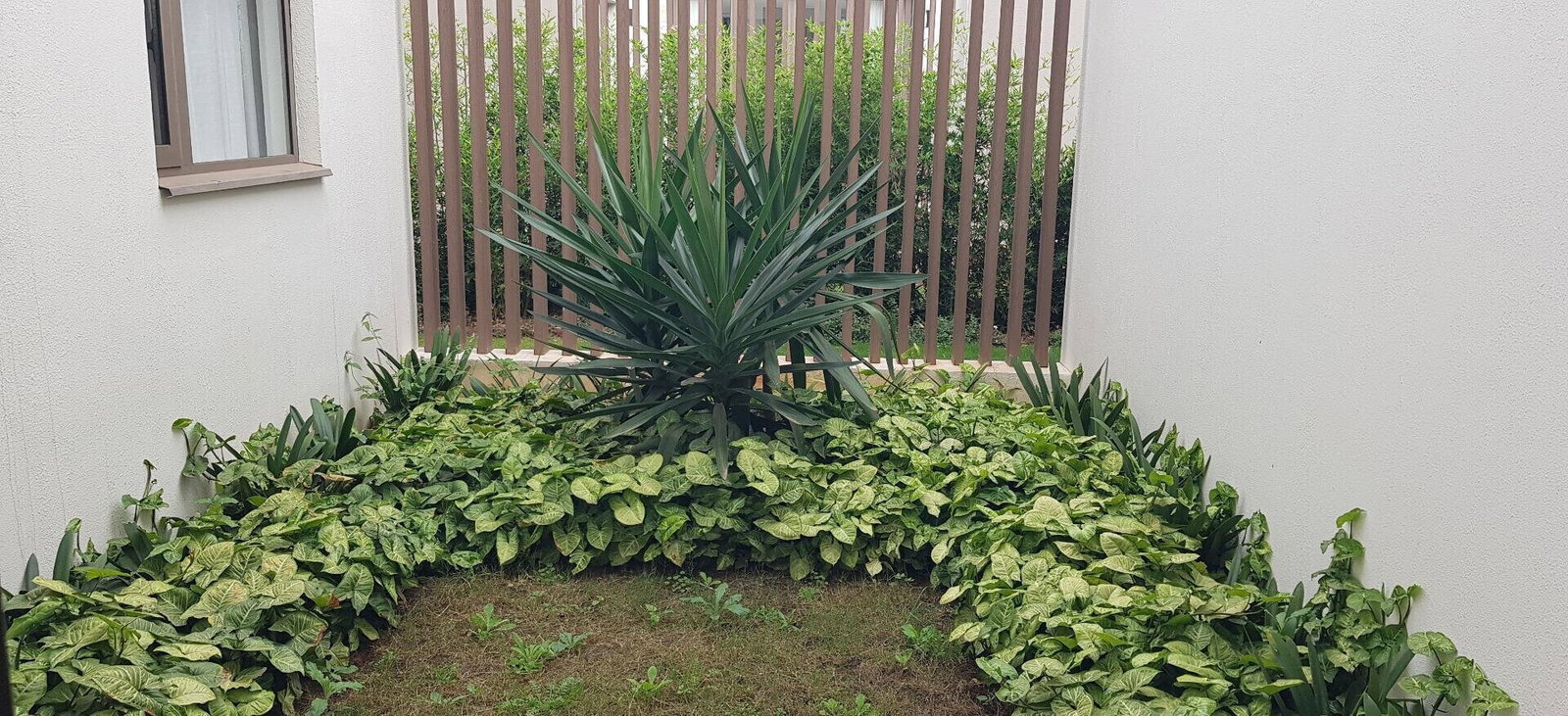 Quiet 5-Bed Townhouse with Fireplace & DSQ - Lavington